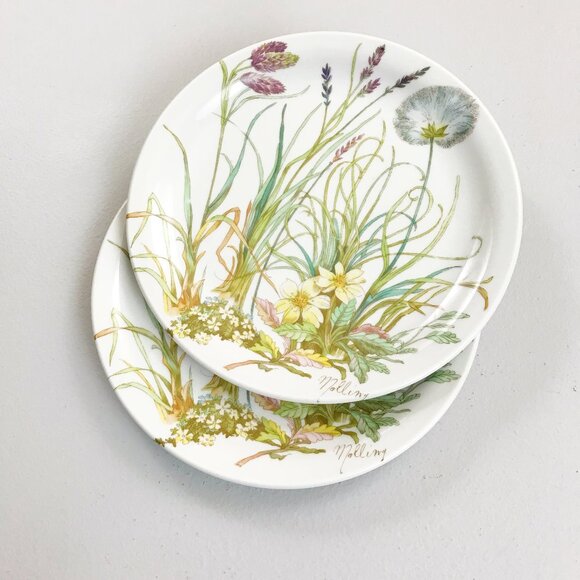 PILLIVUYT France Molling Porcelain Virginie Side Plates Set Of 2 7.75" Botanical - Picture 1 of 12